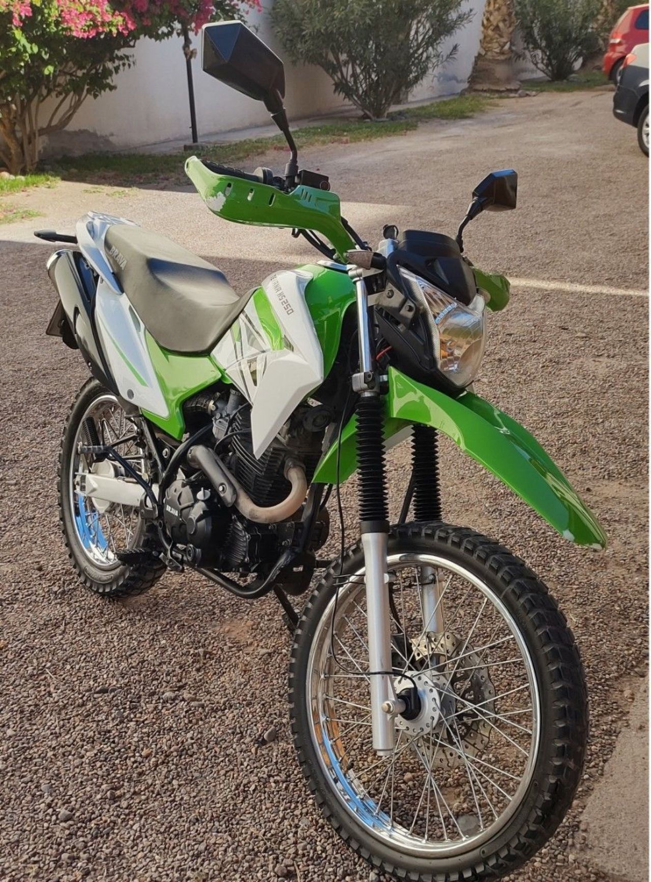 Brava Texana Usada en Mendoza deRuedas