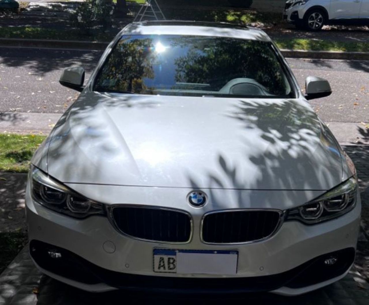 BMW Serie 4 Usado en Mendoza, deRuedas