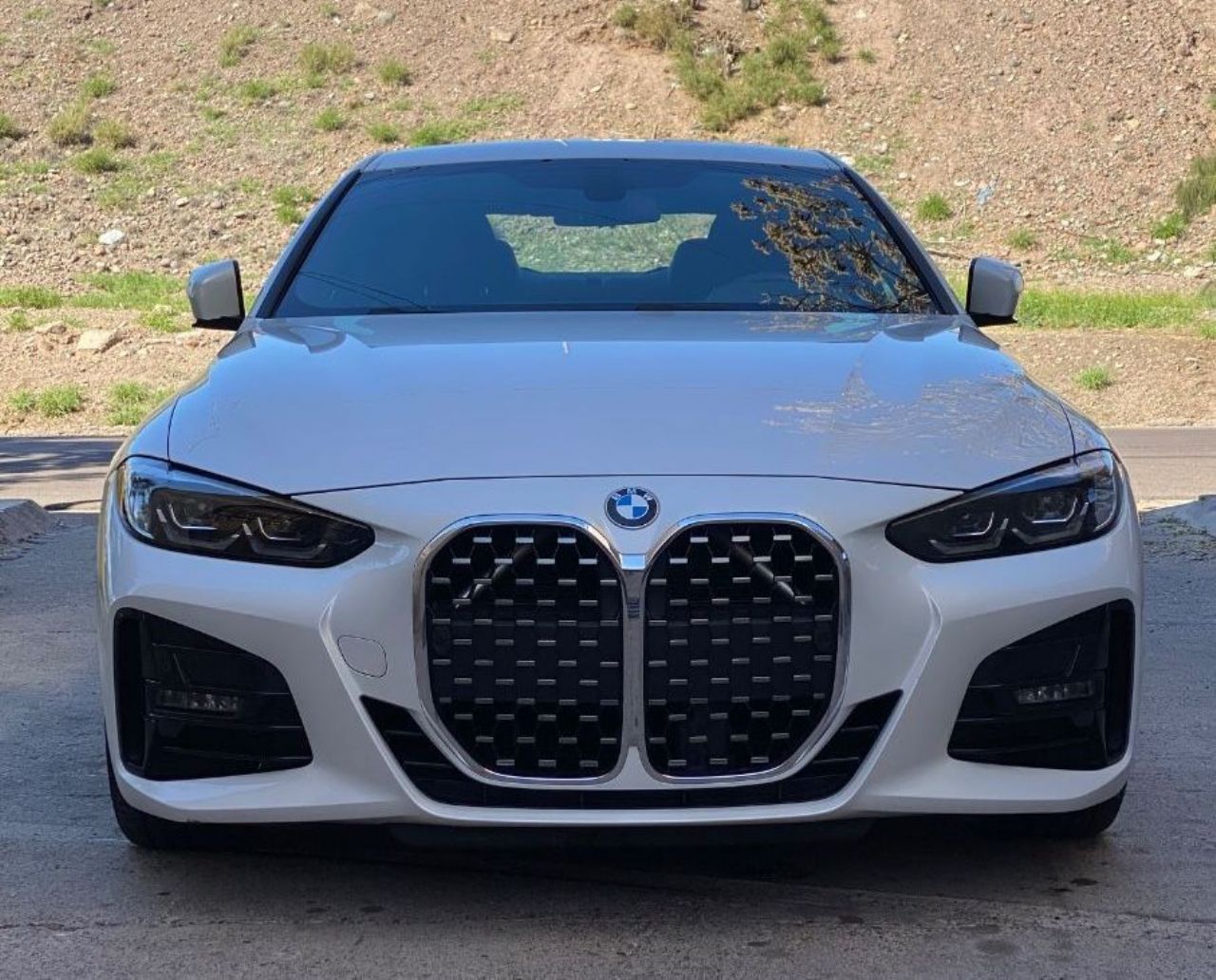 BMW Serie 4 Usado en Mendoza, deRuedas