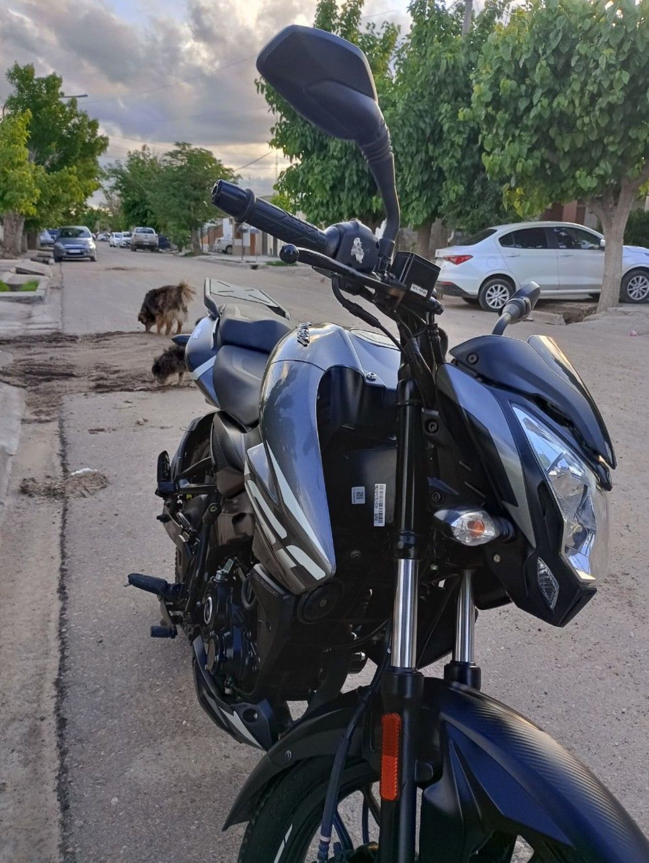 Bajaj Rouser Usada en Mendoza, deRuedas
