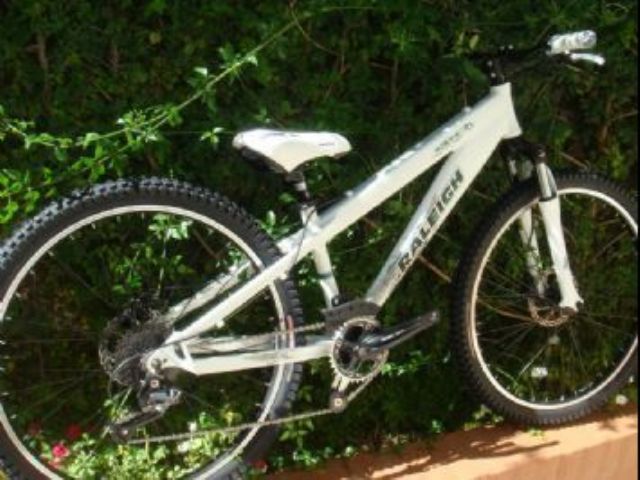 Bicicleta Raleigh Usado en Mendoza, deRuedas