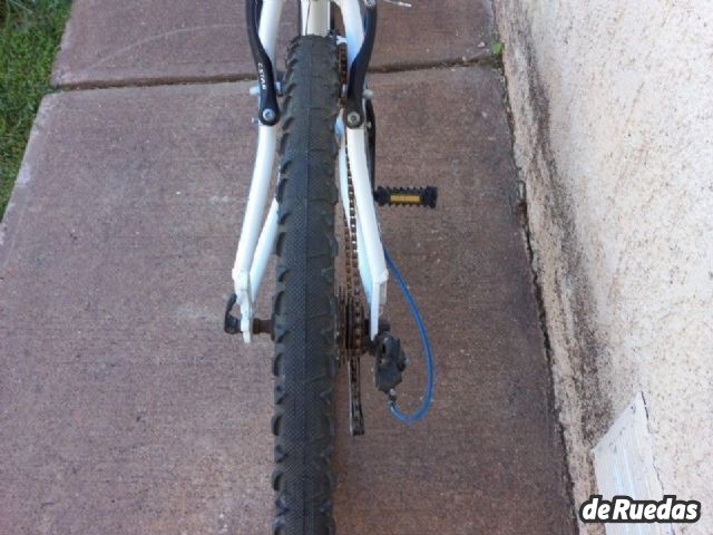 Bicicleta Raleigh Usado en Mendoza, deRuedas
