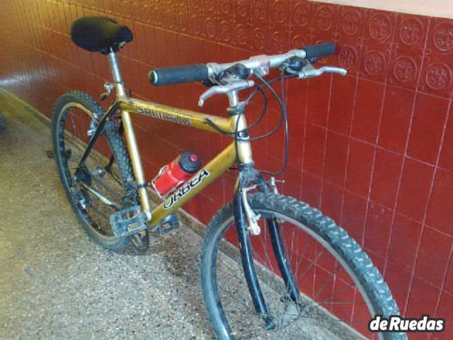 Bicicleta Tomaselli Usado en Mendoza, deRuedas