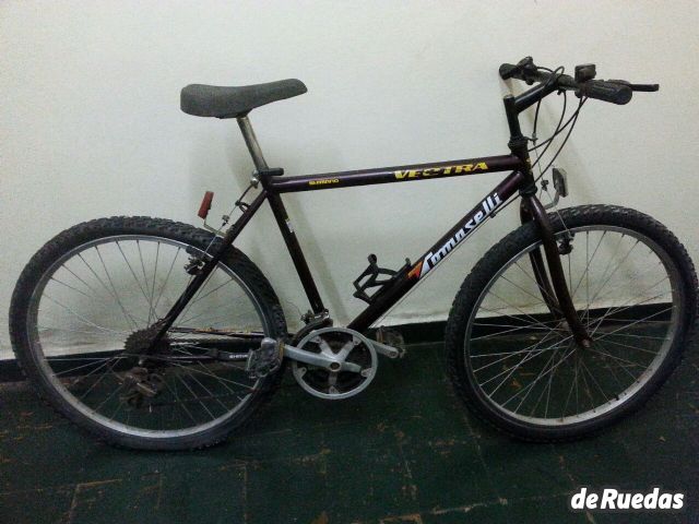 Bicicleta Tomaselli Usado en Mendoza, deRuedas