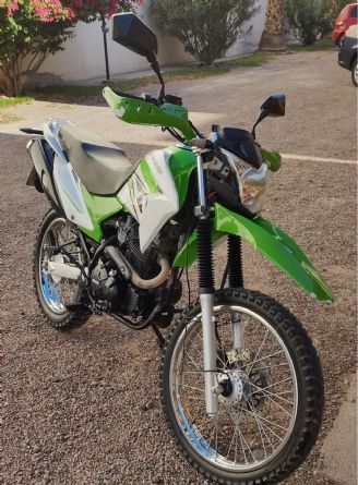 Brava Texana Usada en Mendoza