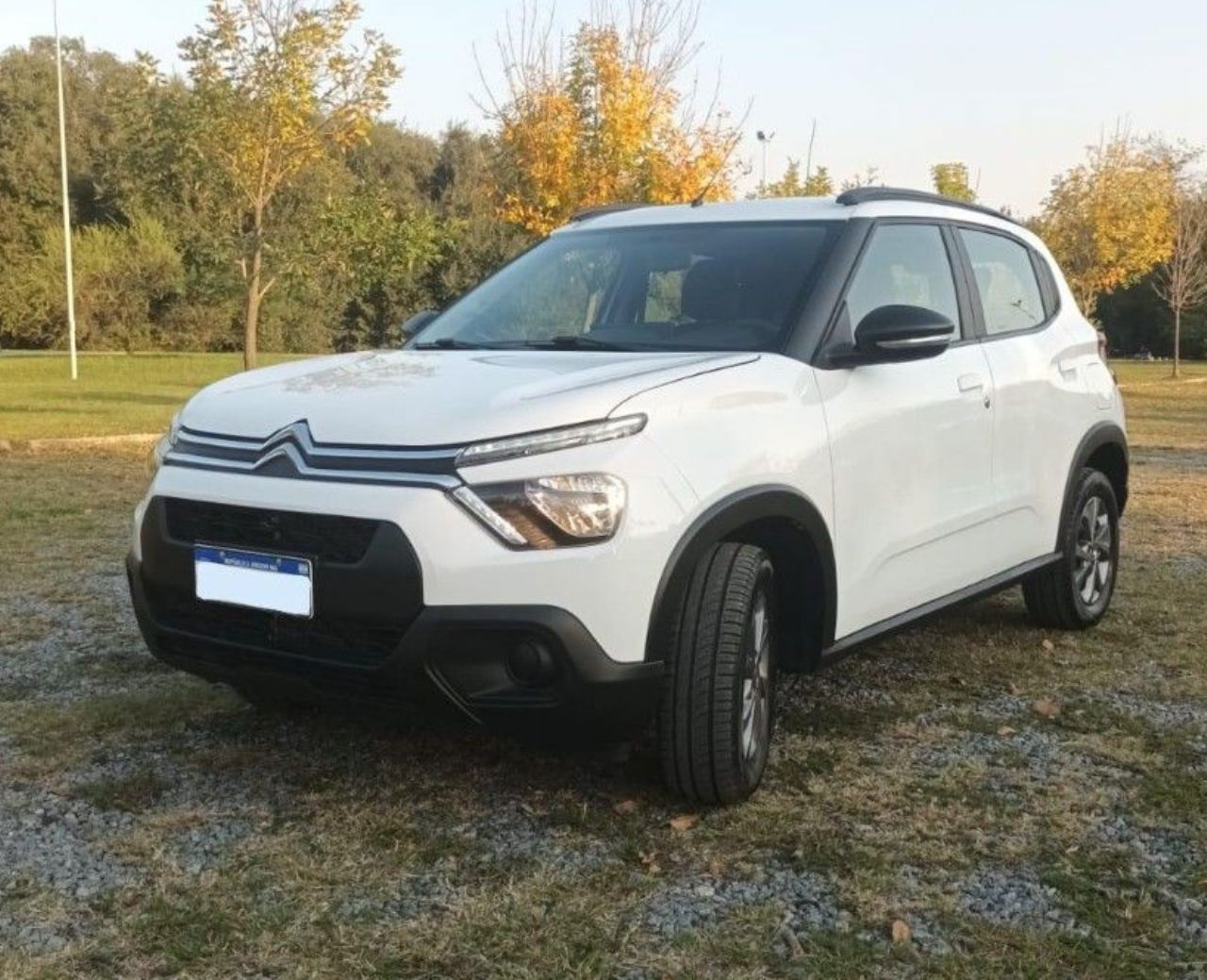 Citroen C3 Usado Financiado en Córdoba, deRuedas