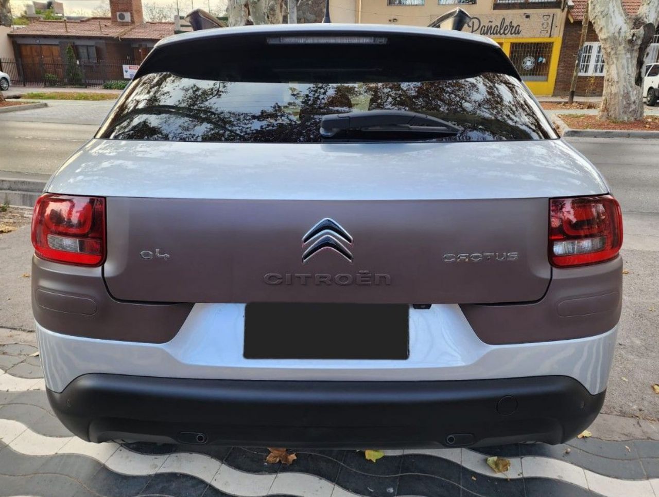 Citroen C4 Cactus Usado en Mendoza, deRuedas