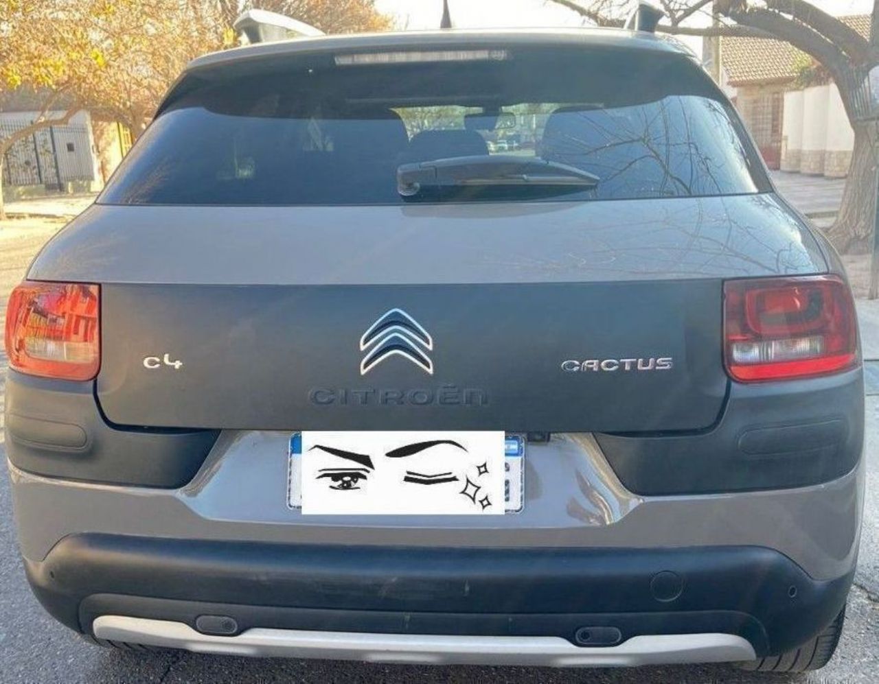Citroen C4 Cactus Usado en Mendoza, deRuedas