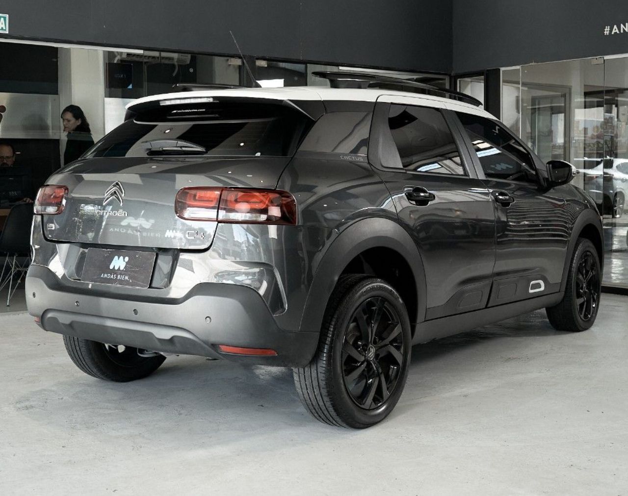 Citroen C4 Cactus Usado Financiado en Córdoba, deRuedas