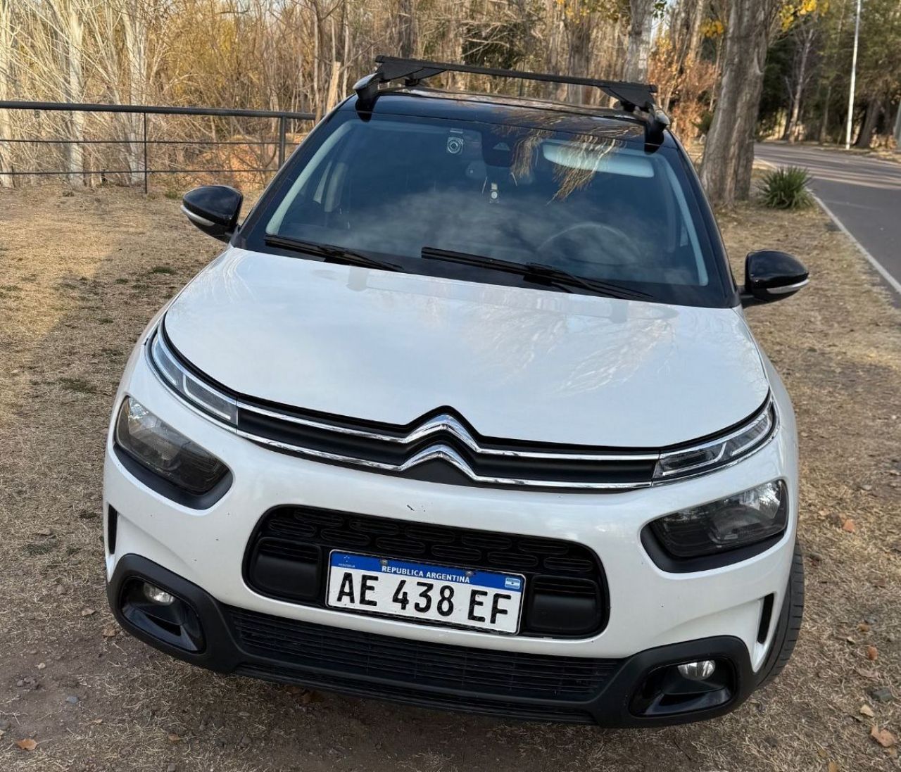 Citroen C4 Cactus Usado en Mendoza, deRuedas