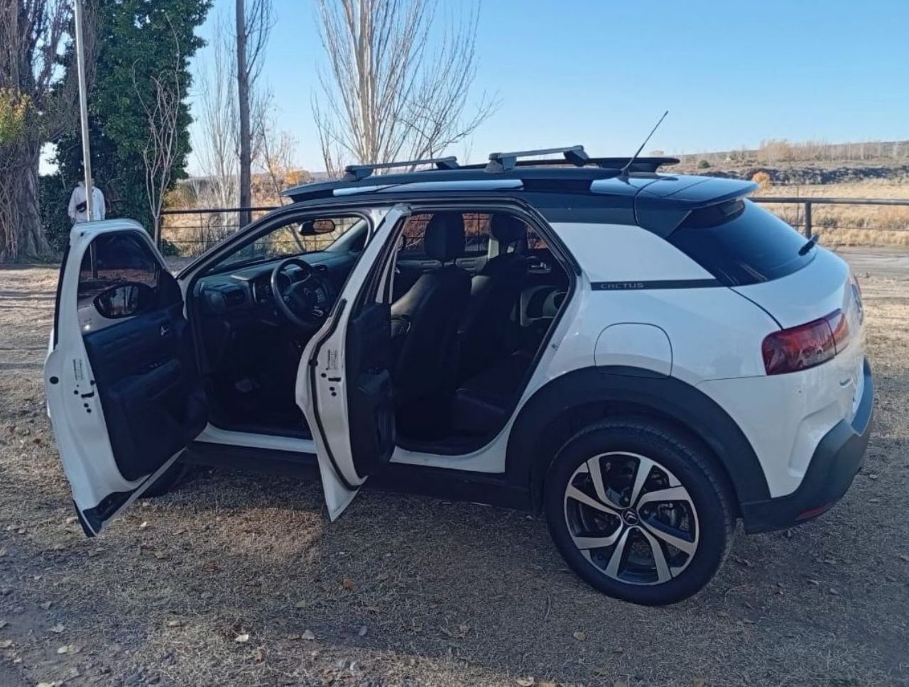 Citroen C4 Cactus Usado en Mendoza, deRuedas
