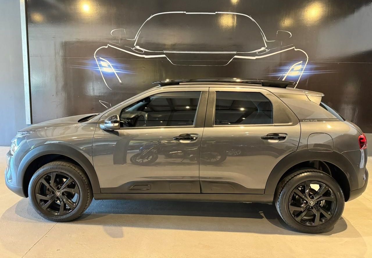 Citroen C4 Cactus Usado Financiado en Córdoba, deRuedas