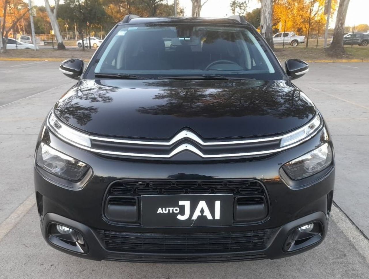 Citroen C4 Cactus Usado Financiado en Córdoba, deRuedas