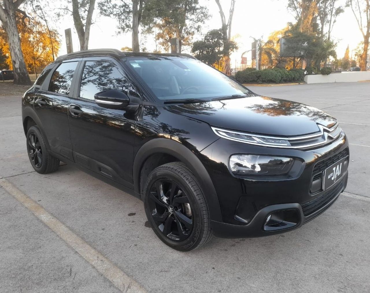 Citroen C4 Cactus Usado Financiado en Córdoba, deRuedas