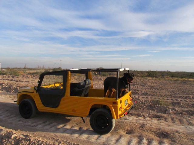 Citroen Mehari Usado en Mendoza, deRuedas