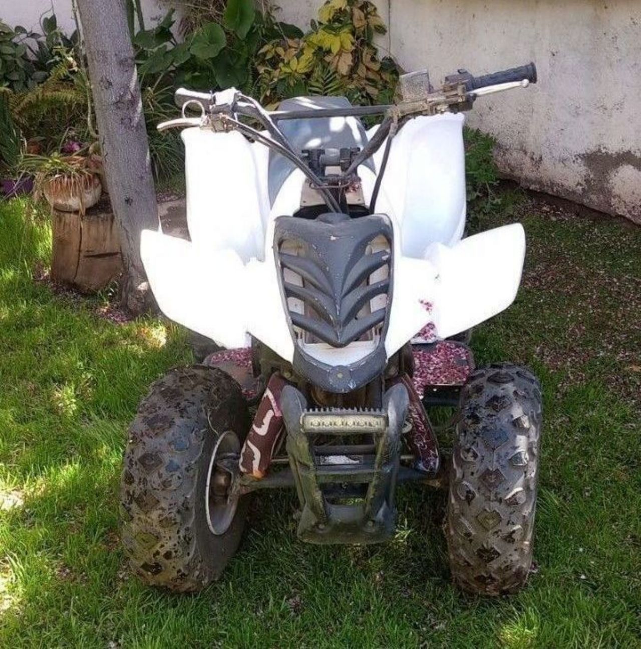 Dayama DA Usado en Mendoza, deRuedas