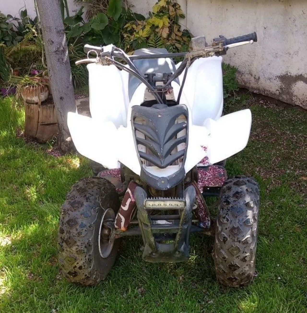 Dayama DA Usado en Mendoza, deRuedas