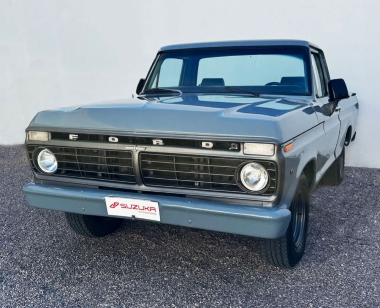 Ford F-100 Usada en Mendoza, deRuedas