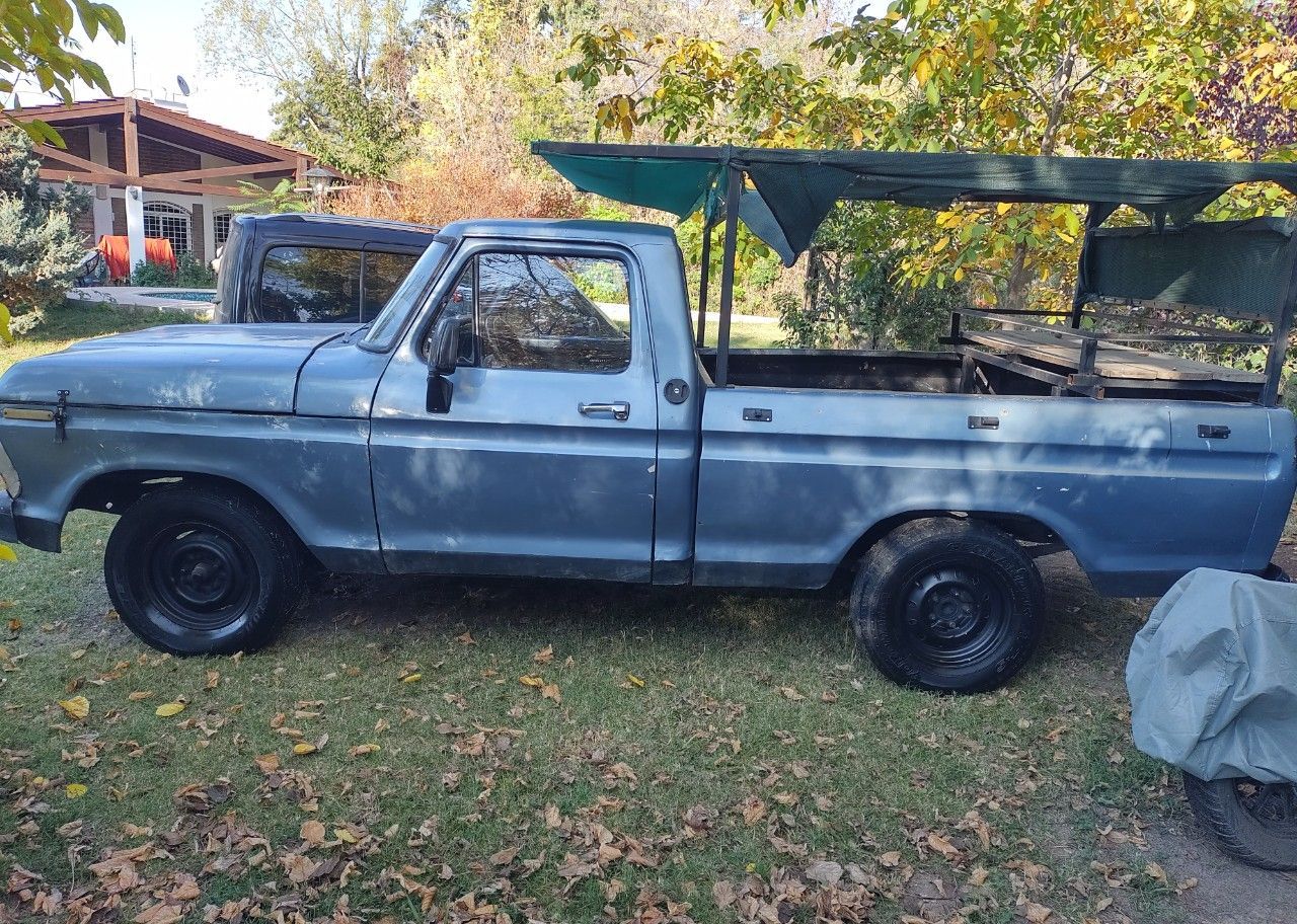 Ford F-100 Usada en Mendoza, deRuedas