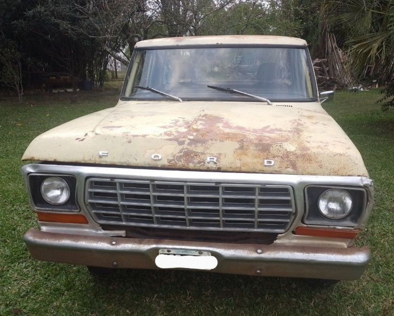 Ford F-100 Usada en Entre Ríos, deRuedas