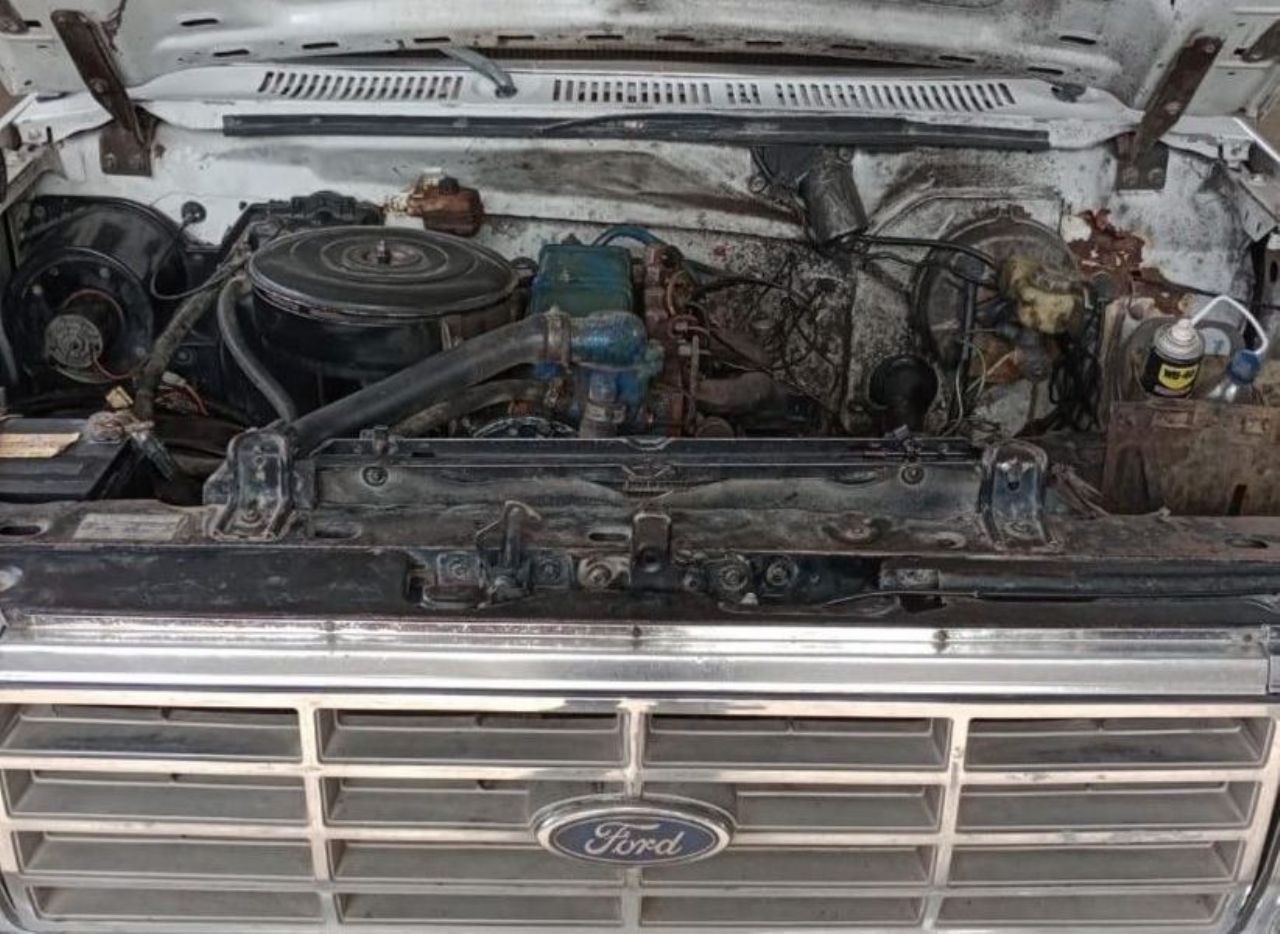 Ford F-100 Usada en Mendoza, deRuedas