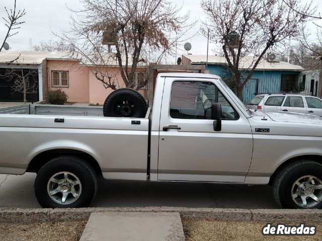 Ford F-100 Usada en Mendoza, deRuedas