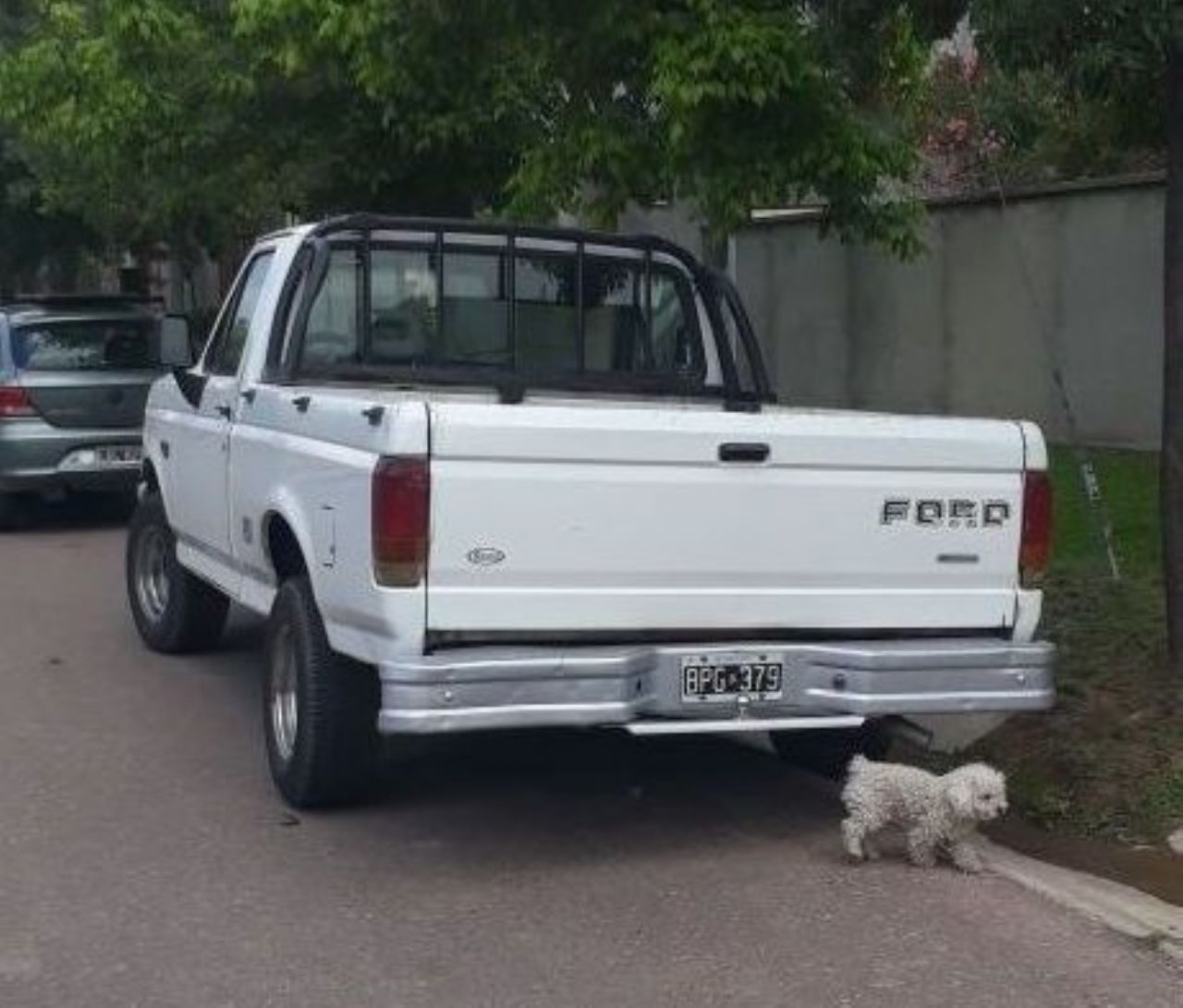Ford F-100 Usada en Mendoza, deRuedas