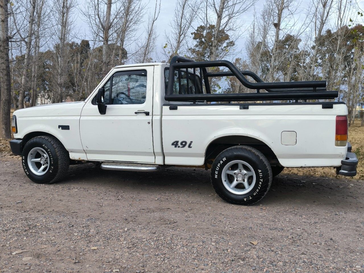 Ford F-100 Usada en Mendoza, deRuedas