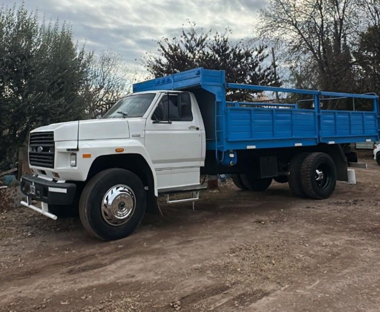 Ford F-7000 Usado en Mendoza, deRuedas