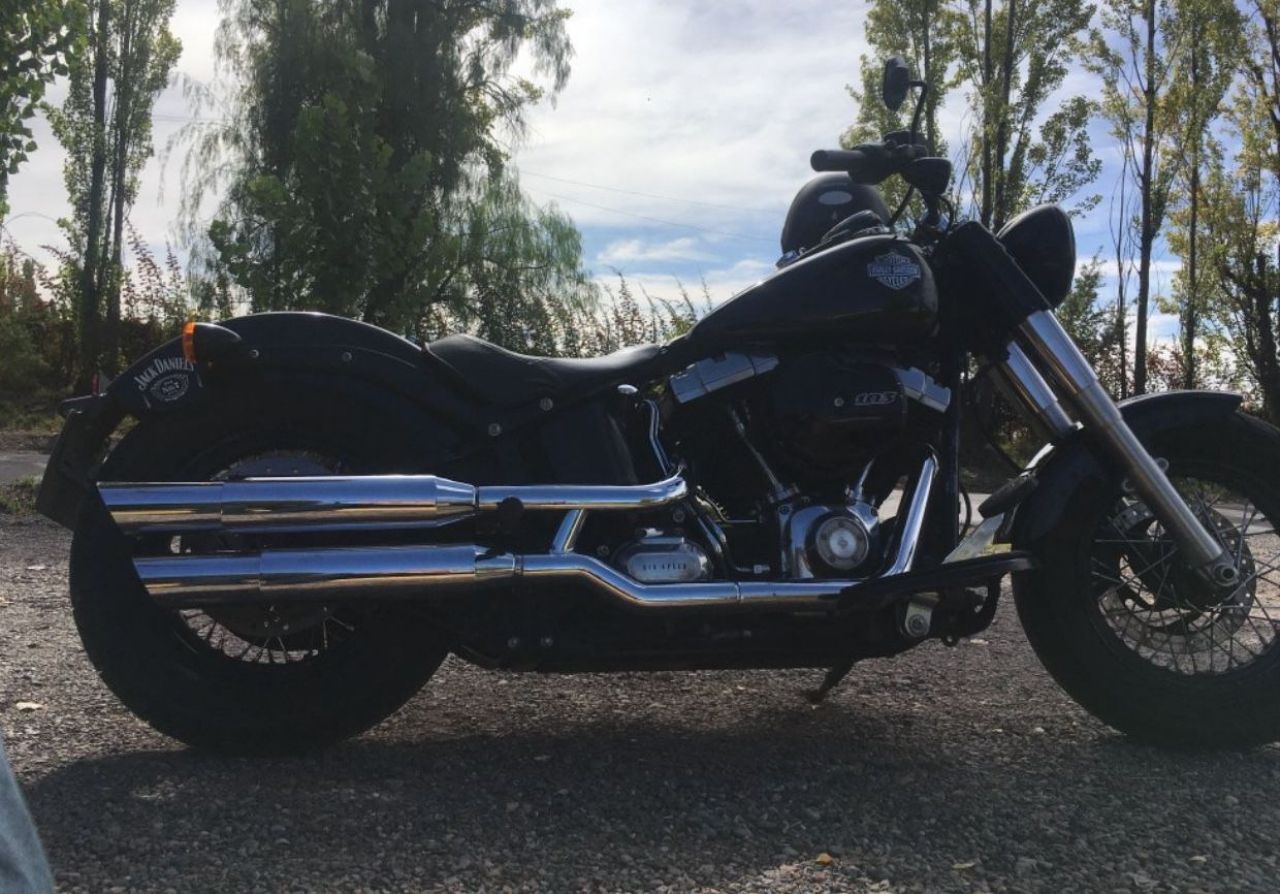 Harley Davidson Softail Usada en Mendoza, deRuedas