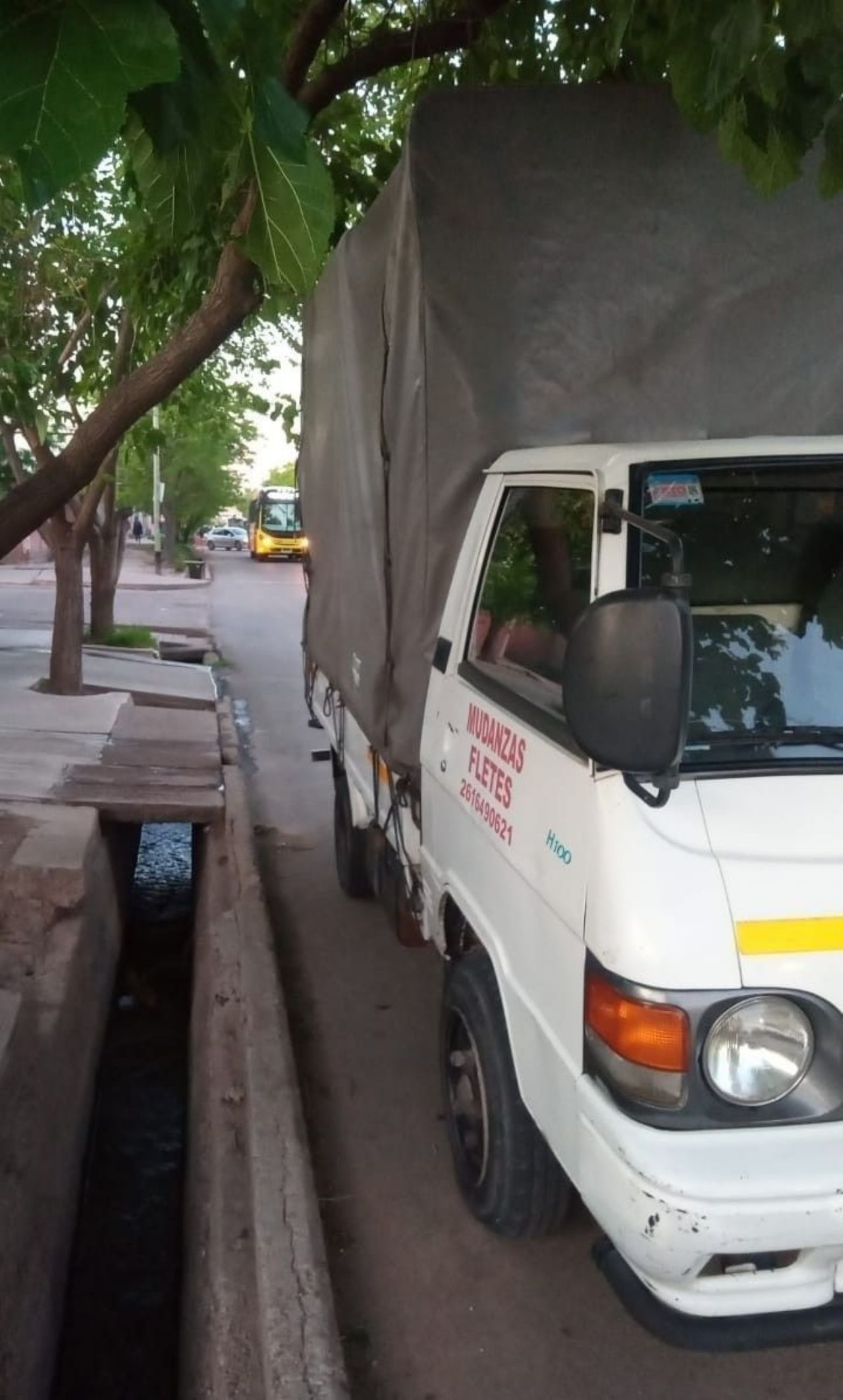 Hyundai H100 Usada en Mendoza, deRuedas