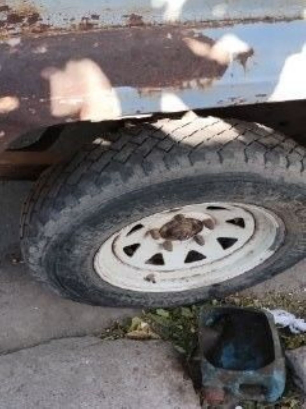 Jeep Gladiator Usada en Mendoza, deRuedas