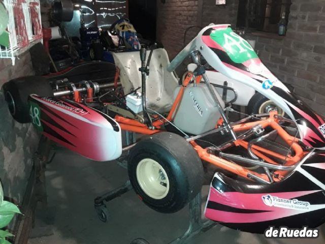 Karting M101 Usado en Mendoza, deRuedas