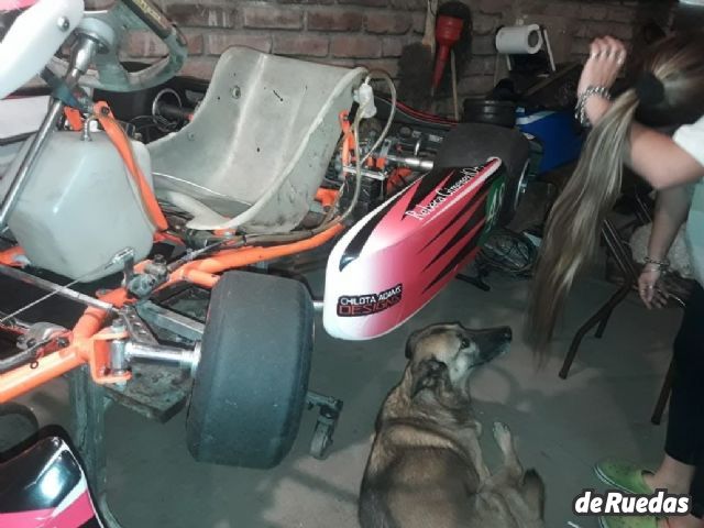 Karting M101 Usado en Mendoza, deRuedas