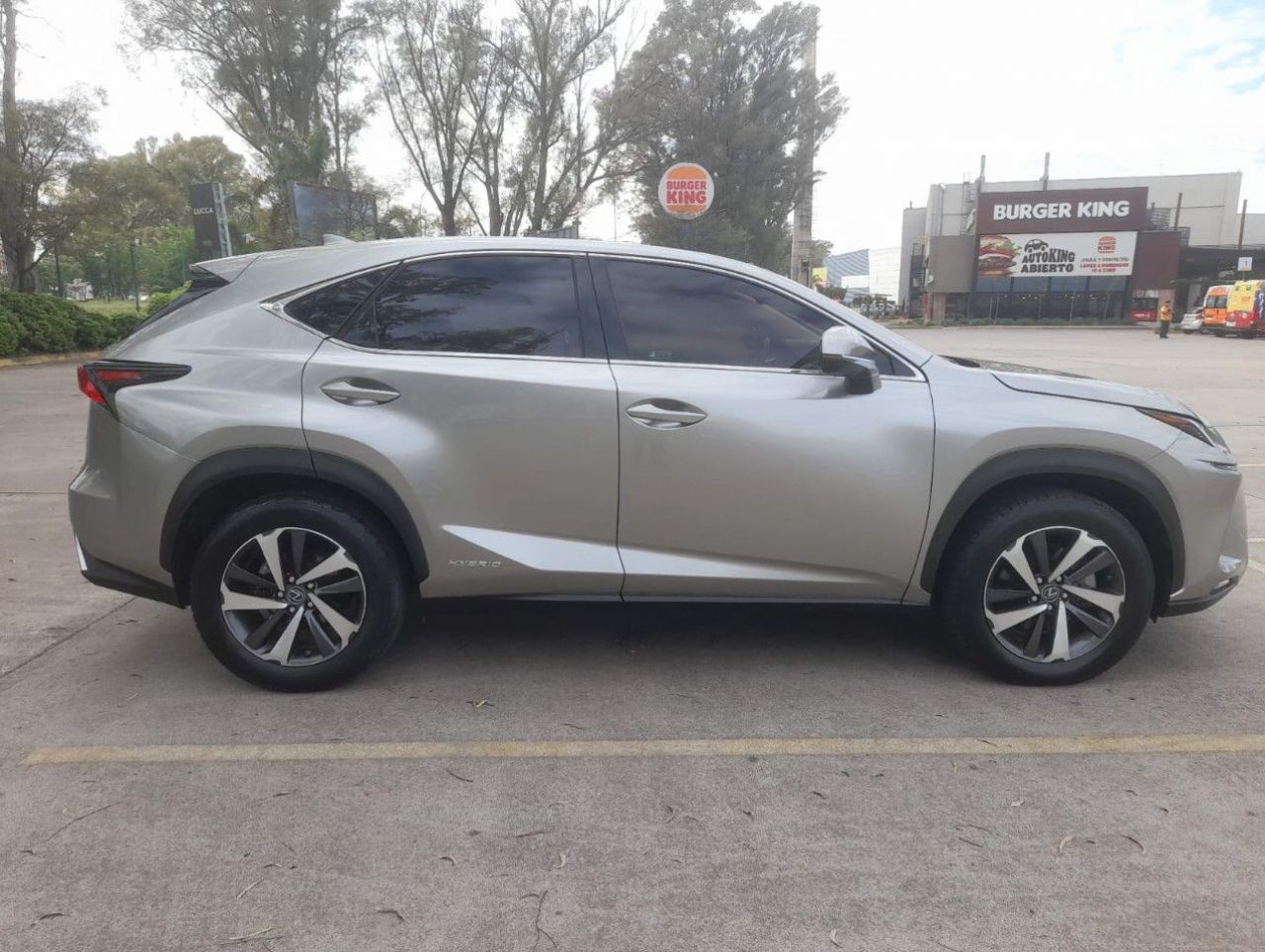 Lexus NX Usado Financiado en Córdoba, deRuedas