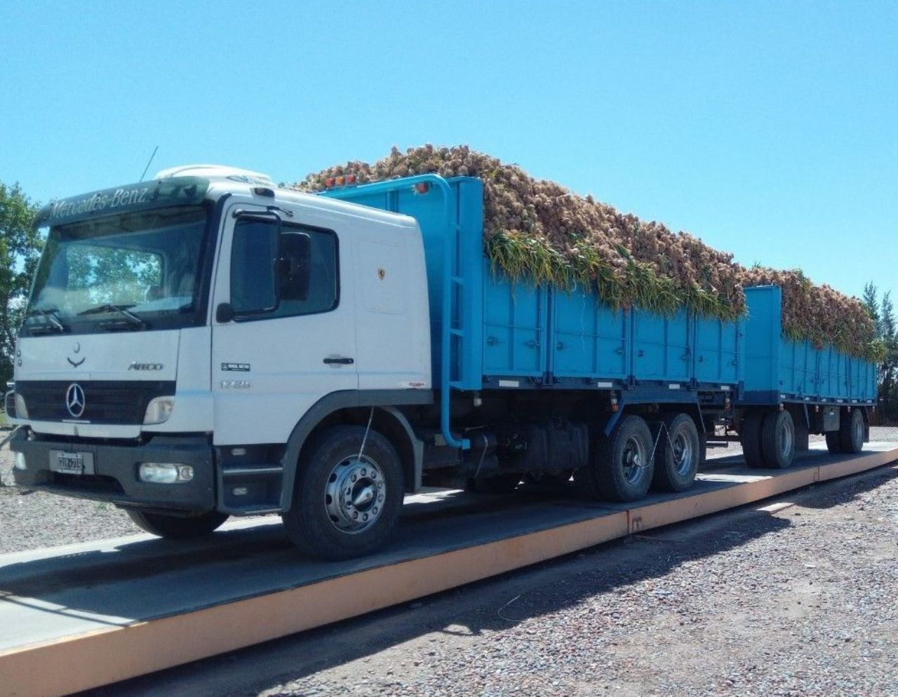 Mercedes Benz Atego Usado en Mendoza, deRuedas