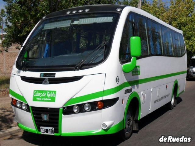Minibus Agrale Usada en Mendoza, deRuedas