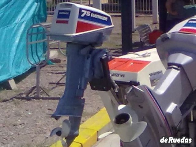 Motor náutico Evinrude Usado en Mendoza, deRuedas