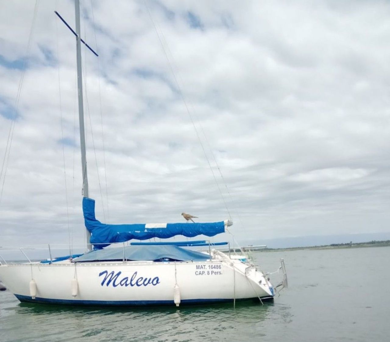 Náutica Velero Nuevo en Mendoza, deRuedas