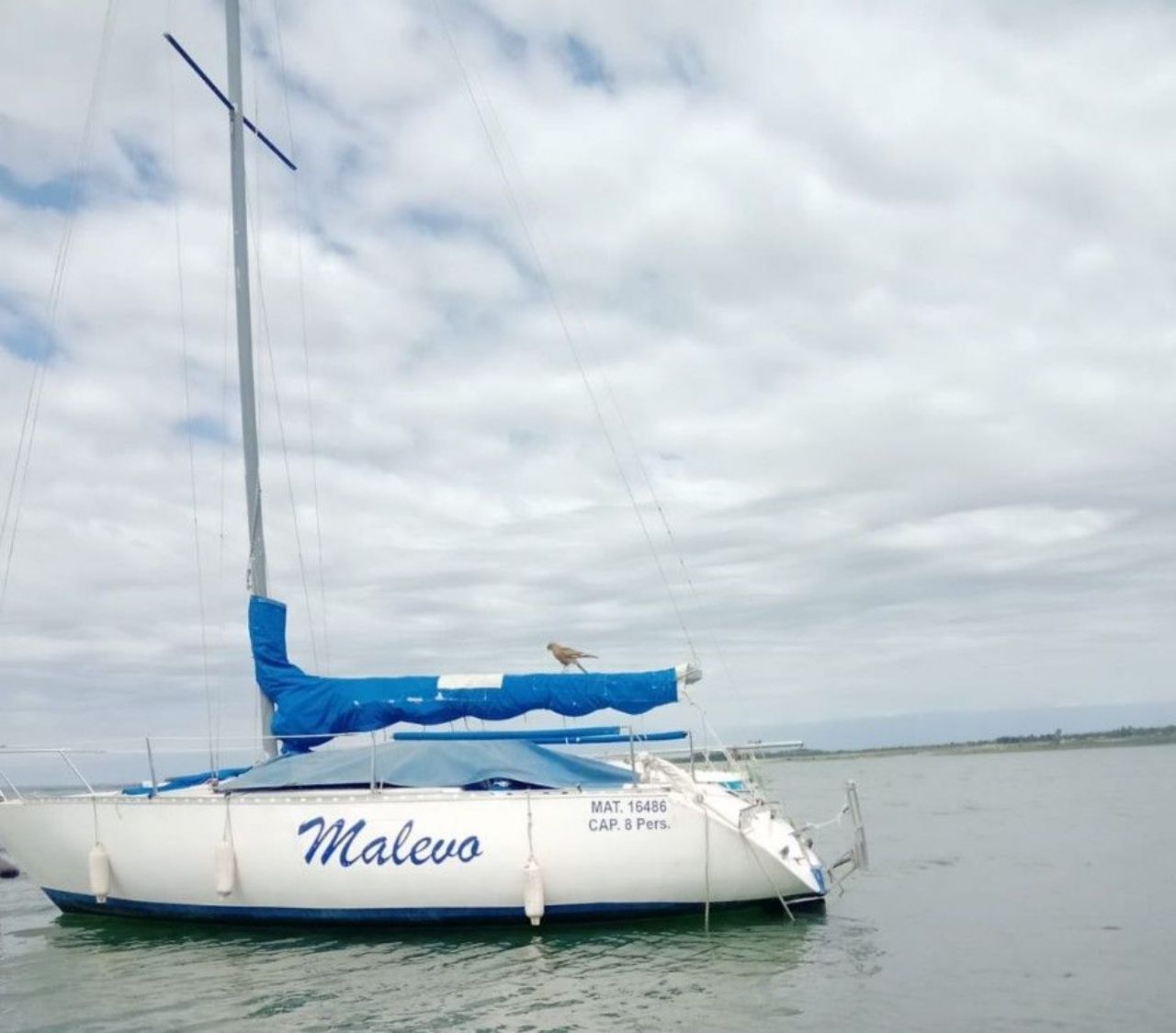 Náutica Velero Nuevo en Mendoza, deRuedas