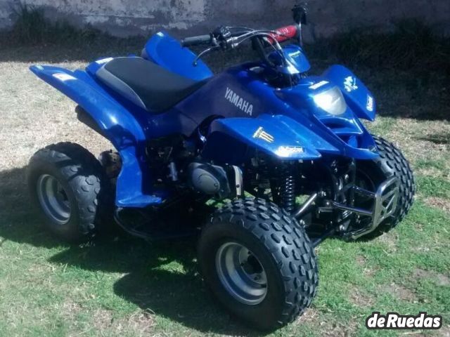 Panther Quads Usado en Mendoza, deRuedas