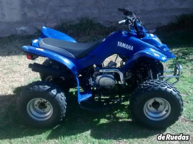 Panther Quads Usado en Mendoza, deRuedas