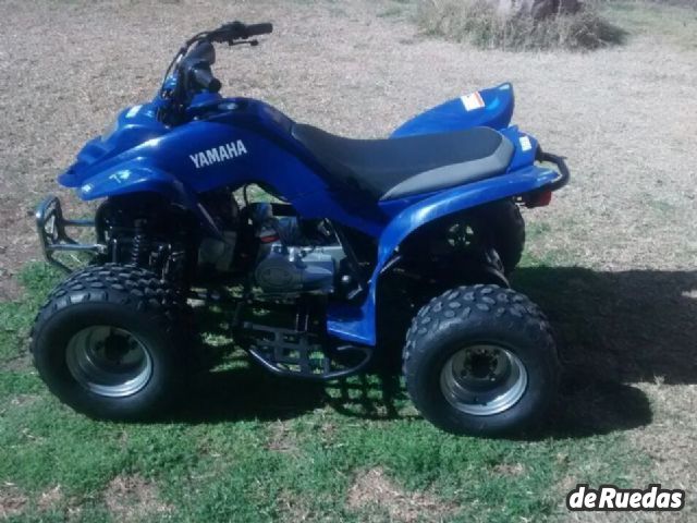 Panther Quads Usado en Mendoza, deRuedas