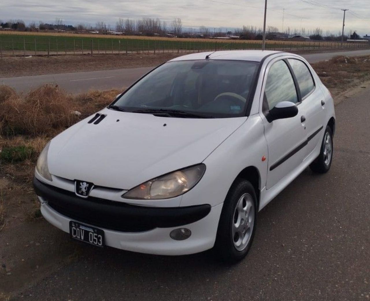 Peugeot 206 Usado en Mendoza, deRuedas