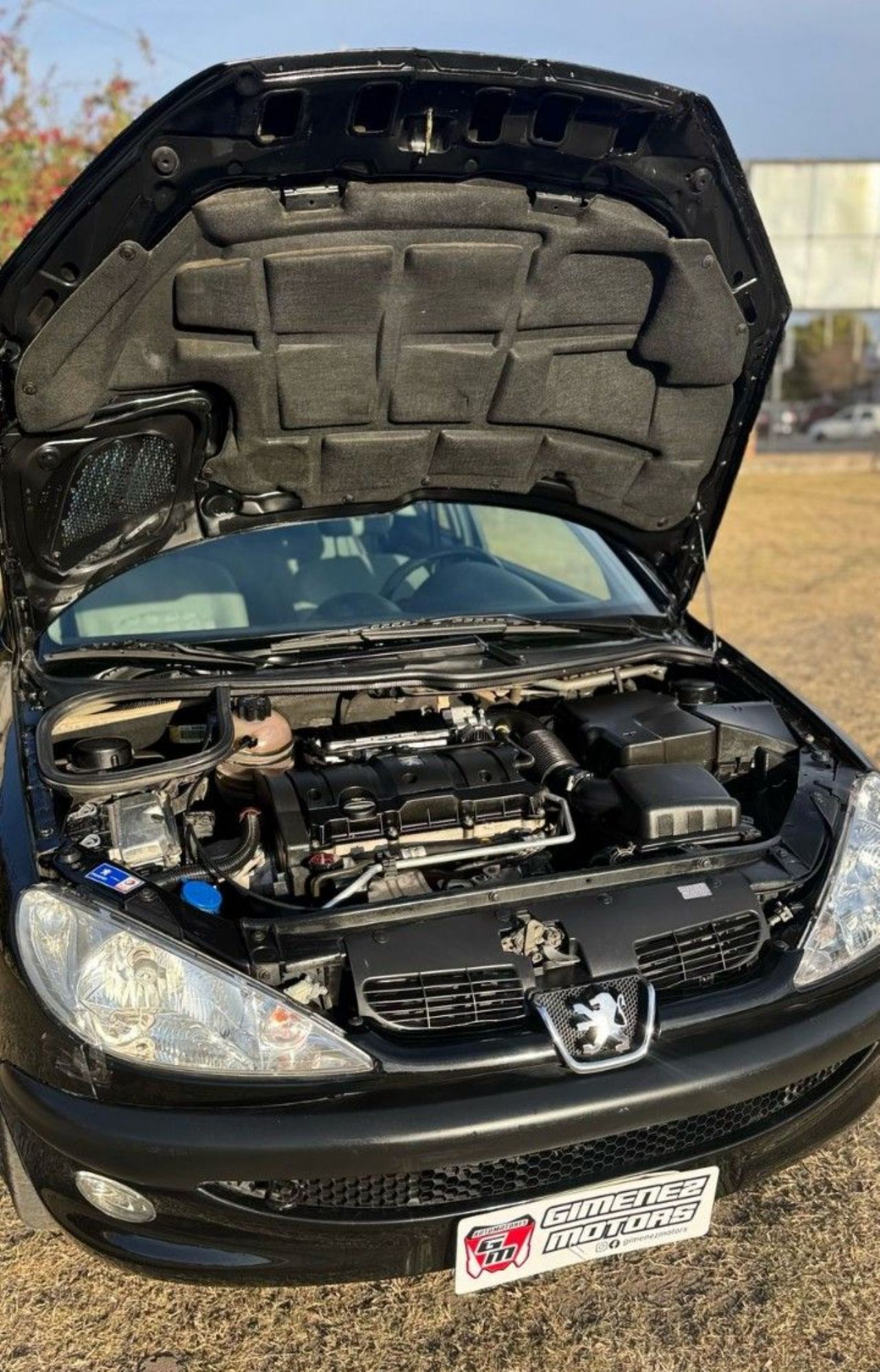 Peugeot 206 Usado Financiado en Córdoba, deRuedas