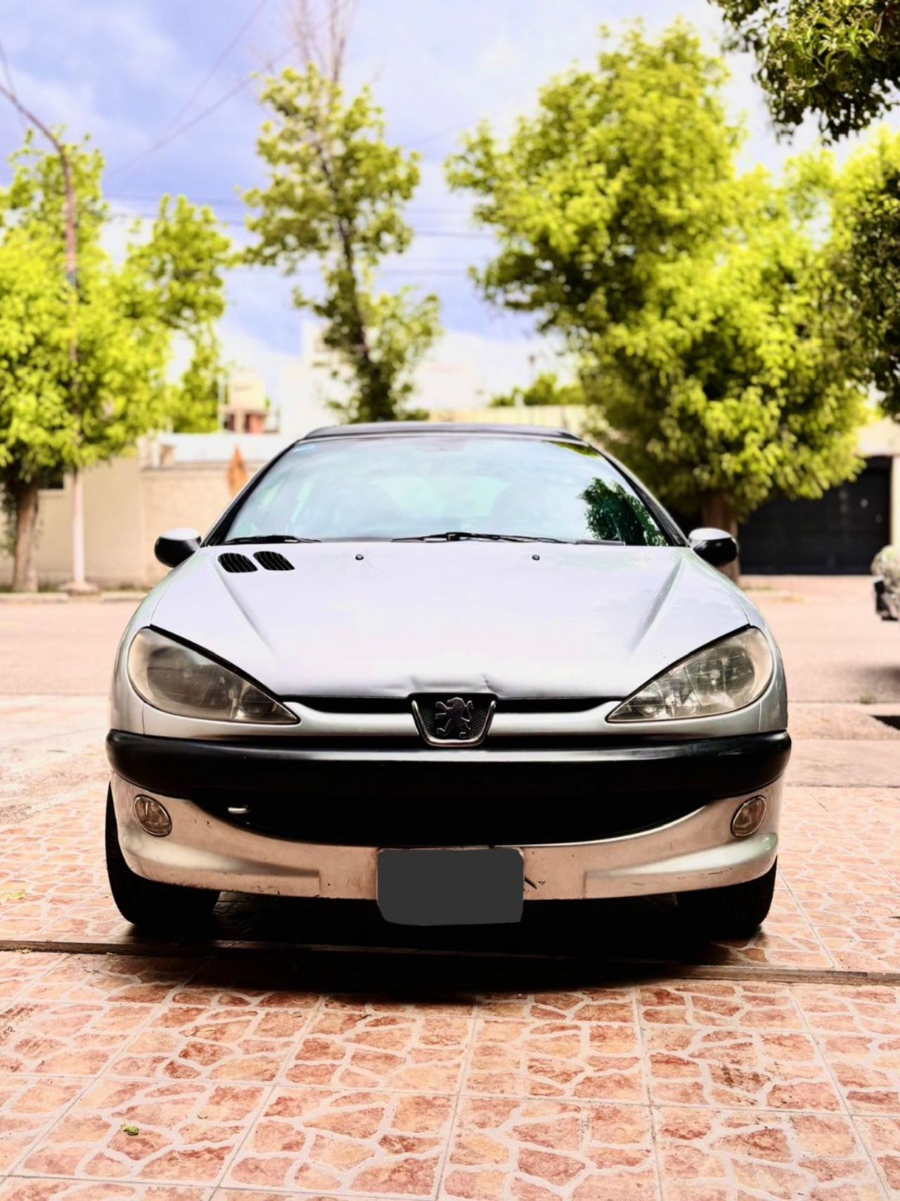 Peugeot 206 Usado en Mendoza, deRuedas