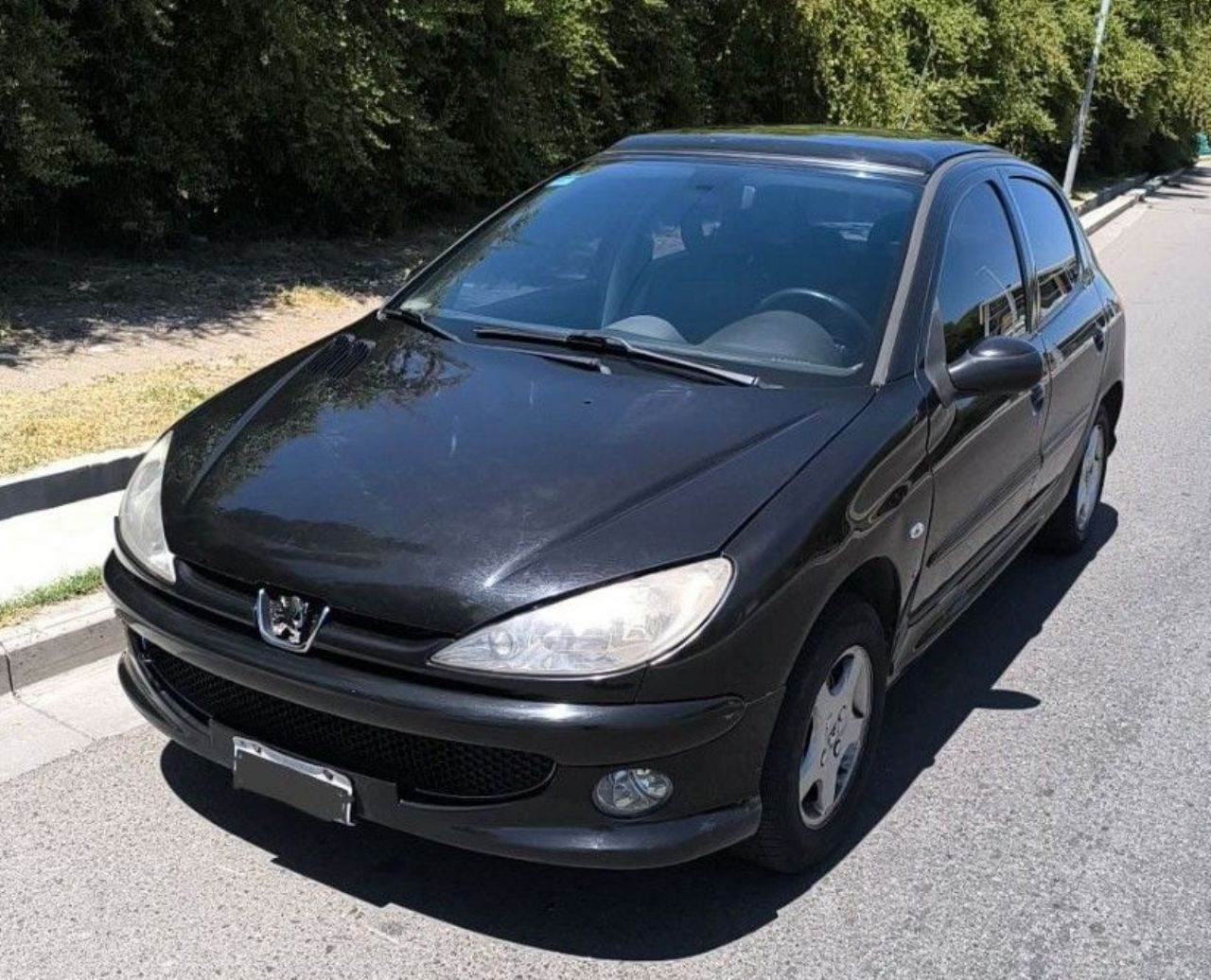 Peugeot 206 Usado en Mendoza, deRuedas
