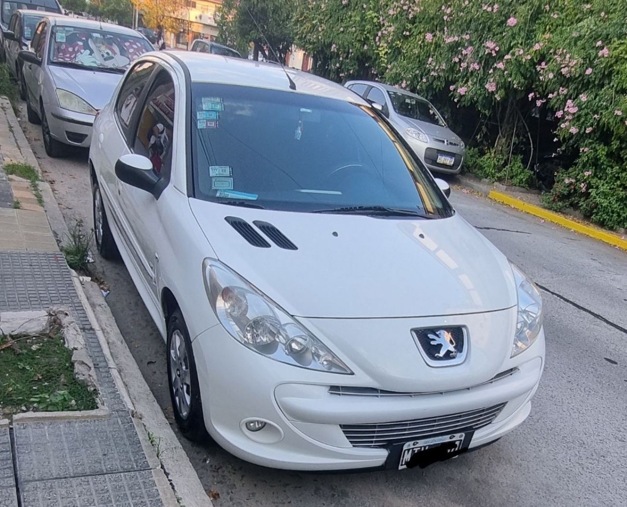 Peugeot 207 Usado en Buenos Aires, deRuedas