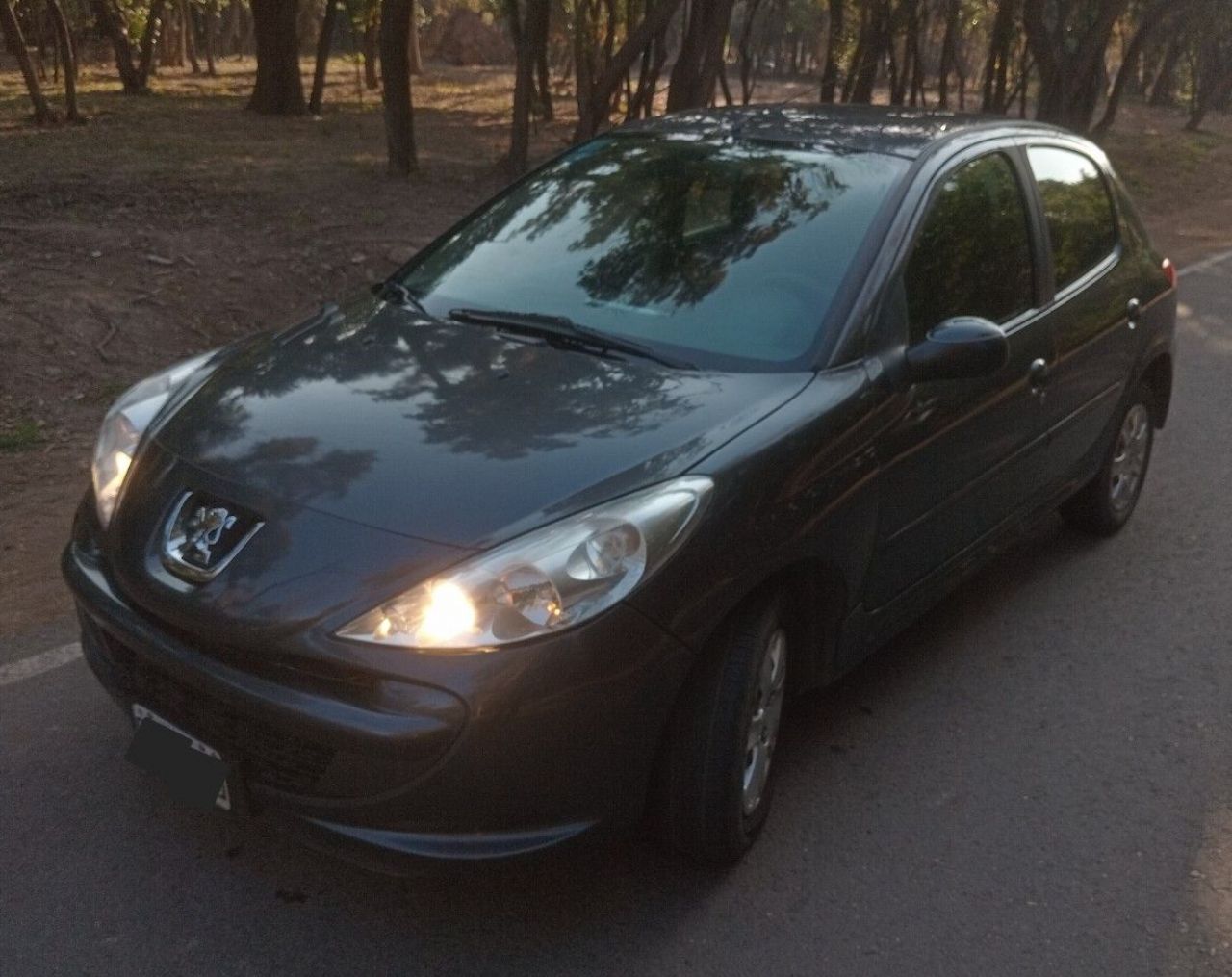 Peugeot 207 Usado en Mendoza, deRuedas