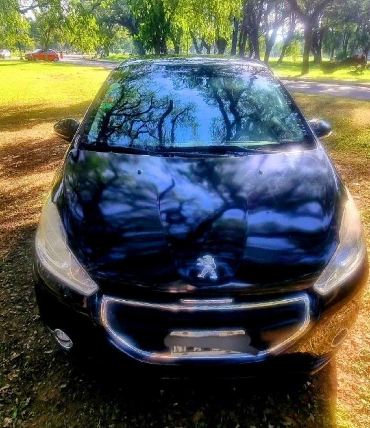 Peugeot 208 Usado en Tucumán, deRuedas